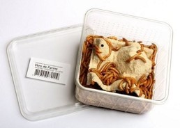 Vers de farine - 1 kg - Insectes vivants - Comptoir du Poisson exotique