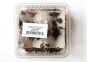 Grillons noirs taille 8 - Boite env.15 pcs - Insectes vivants - Comptoir du Poisson exotique