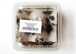 Grillons noirs taille 6 - Boite env.30 pcs - Insectes vivants - Comptoir du Poisson exotique