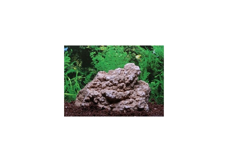 Pierre feuille d'erable 1,5-2,2kg - vendu par 6 - Roches décoration - Comptoir du Poisson exotique