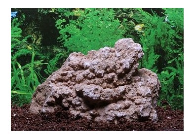 Pierre feuille d'erable 1,5-2,2kg - vendu par 6 - Roches décoration - Comptoir du Poisson exotique