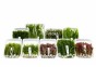 Assortiment-Box A - 9x10 bouquet tropical - Assortiments de plantes - Comptoir du Poisson exotique