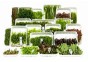ASS. 13: 20x10 (200) bouquet - Assortiments de plantes - Comptoir du Poisson exotique