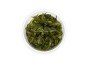 Cryptocoryne 'Rubella' - In Vitro Cup - Eco scape - cup in vitro - Comptoir du Poisson exotique