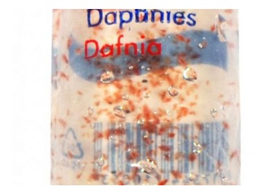 DAPHNIA 100ML - NOURRITURE VIVANTE - Nourriture vivante - Comptoir du Poisson exotique