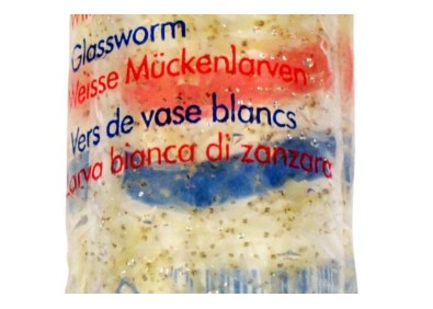 VERS DE VASE BLANC 100ML - NOURRITURE VIVANTE - Nourriture vivante - Comptoir du Poisson exotique