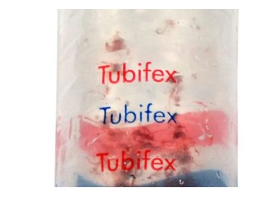 TUBIFEX 100ML - NOURRITURE VIVANTE - Nourriture vivante - Comptoir du Poisson exotique