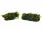 Vesicularia Racine déco nano (5-7cm) - Plantes sur support - Comptoir du Poisson exotique