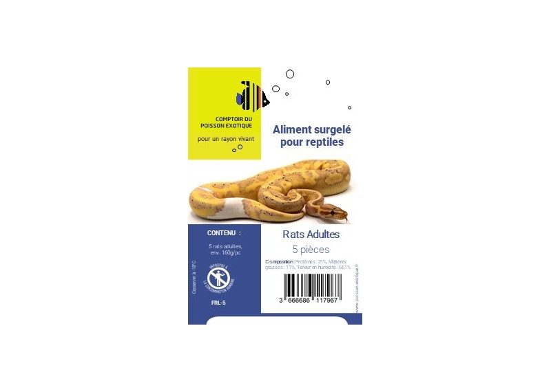 Rat T6 adulte ± 160 gr - Sachet noir - 5 pcs - Sachet - Comptoir du Poisson exotique