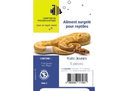 Rat T4 jeune ± 70 gr - Sachet noir - 5 pcs - Sachet - Comptoir du Poisson exotique