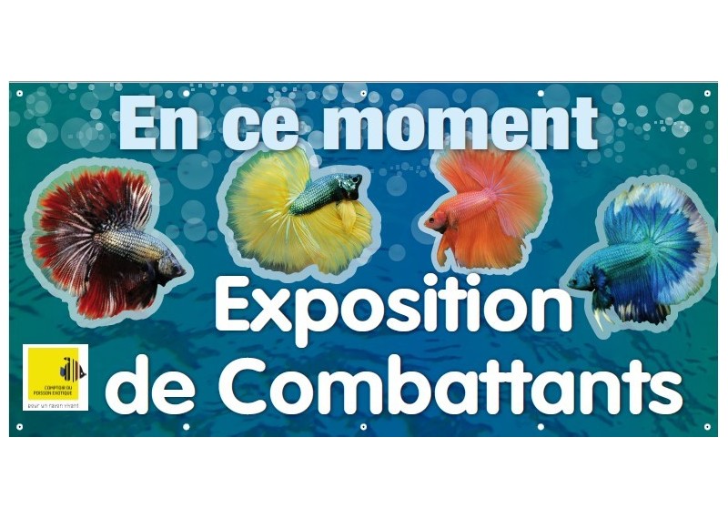 Calicot couleur 2m x 1m exposition combattants