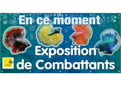 Calicot couleur 2m x 1m exposition combattants