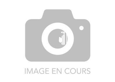 Betta halfmoon mâle rouge