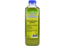 Phyto Nannochloropsis (eau...