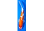 Carpe koi A 40-45 cm Photo N°73